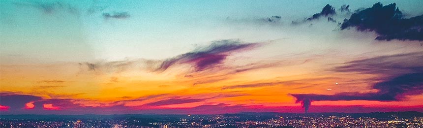 射洪茶虫网_射洪品茶